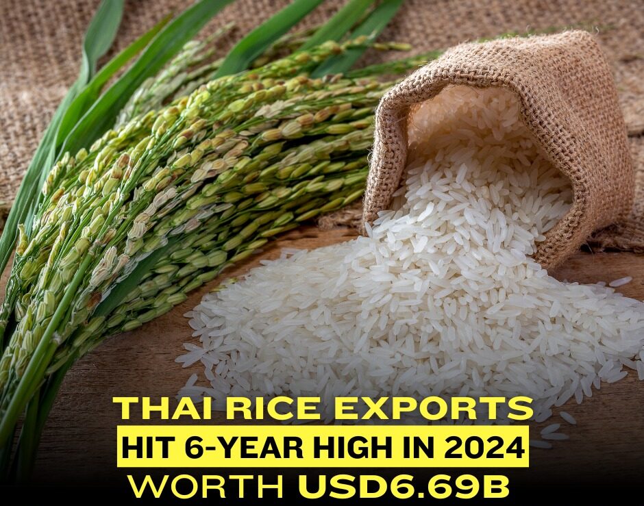 Rice Exporters in thailand